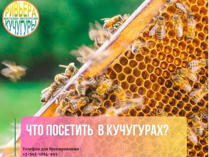 Что посетить в Кучугурах?