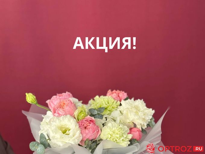 🎁 АКЦИЯ! ЗАБЕРИТЕ СЕРТИФИКАТ!