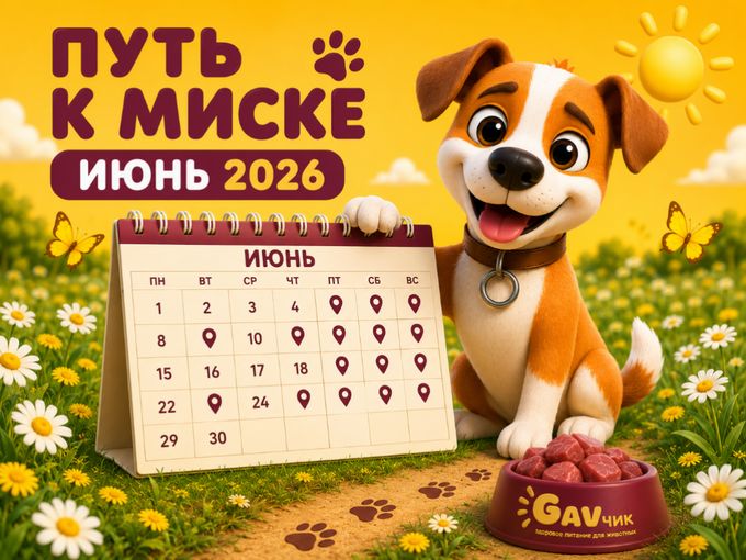 🌿 ГРАФИК РАБОТЫ НА ИЮНЬ