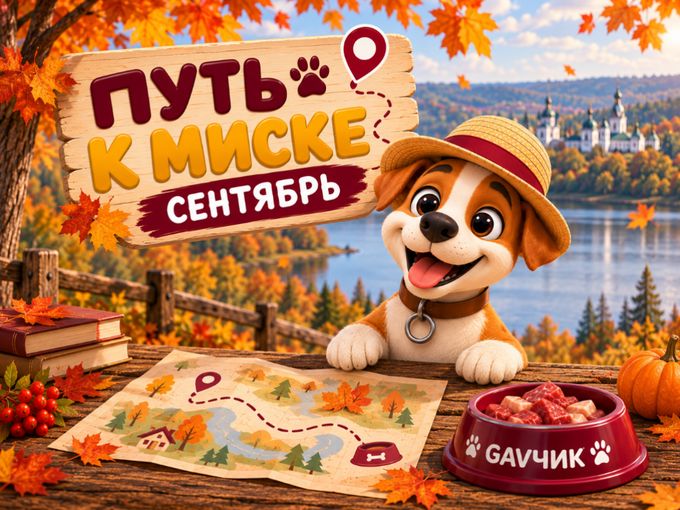🍁 ГРАФИК РАБОТЫ НА СЕНТЯБРЬ