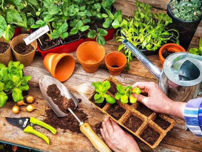 Пора планировать урожай! 🌱