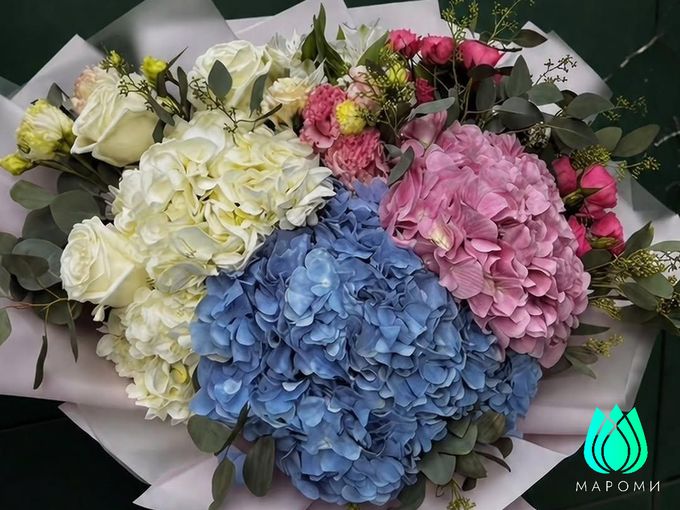 🎁 ЗАБЕРИТЕ СЕРТИФИКАТ