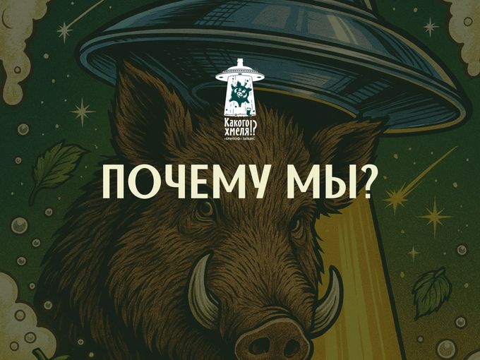 ПОЧЕМУ МЫ?