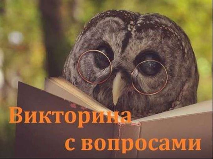 Эрудиты, на старт! 🚀
