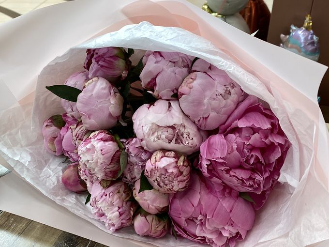 Пионы 💝250 руб🔥