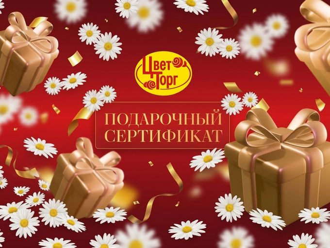 Букеты с ромашками к Дню семьи