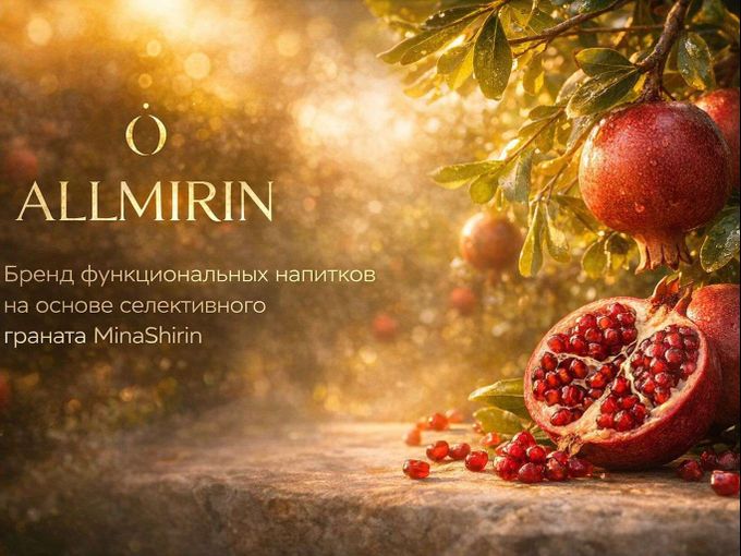 СОЗДАНИЕ БРЕНДА ALLMIRIN