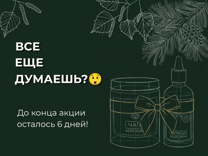 Ещё 6 дней на акцию ⏳