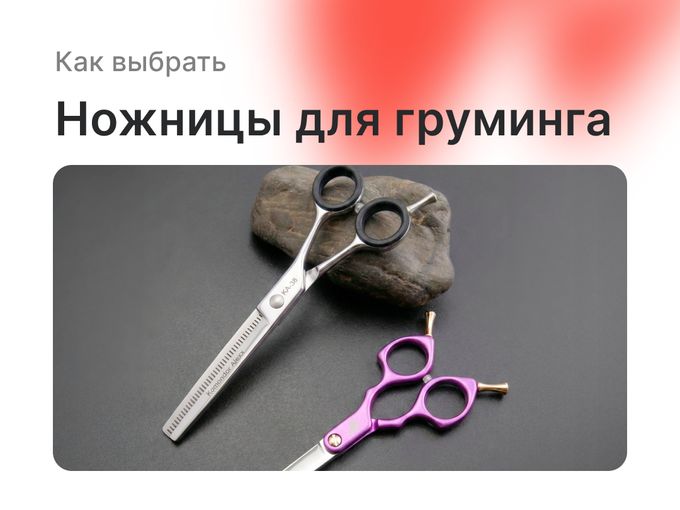 Как выбрать правильные ножницы?