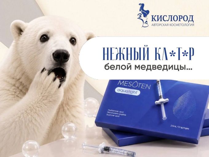 НЕЖНЫЙ КЛ*Т*Р БЕЛОЙ МЕДВЕДИЦЫ ...