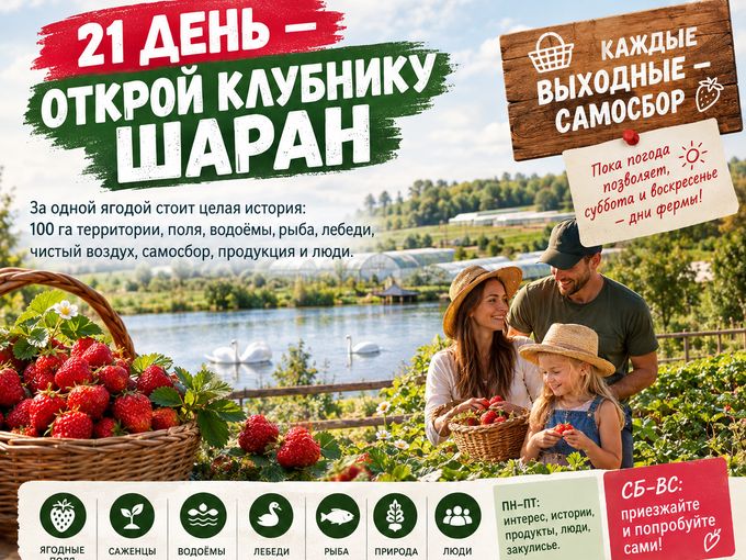 🍓 21 ДЕНЬ — ОТКРОЙ «КЛУБНИКУ ШАРАН»