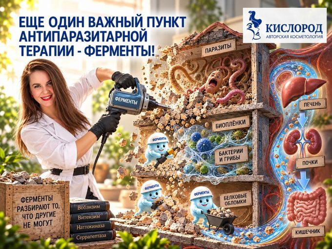 ЗАЧЕМ ФЕРМЕНТЫ НА АПТ? 🧬