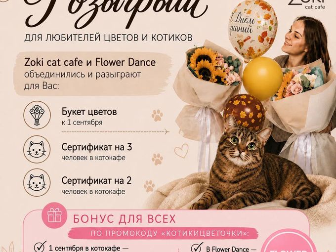 🔥Дарим сертификаты и букет к 1.09🔥