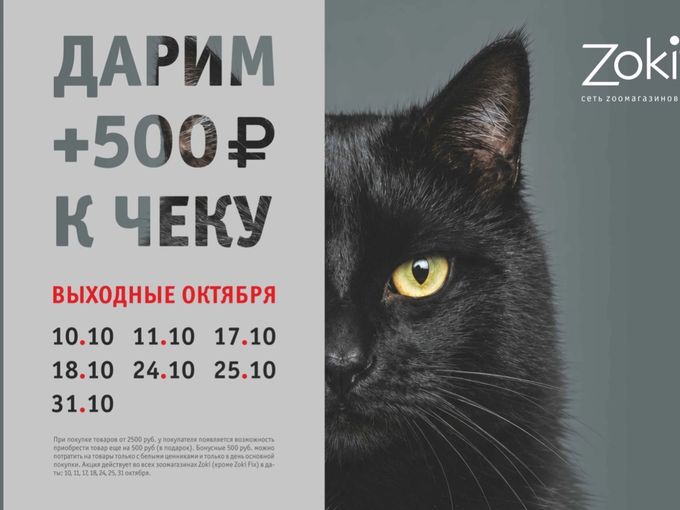 500 р. в подарок все выходные октября🔥