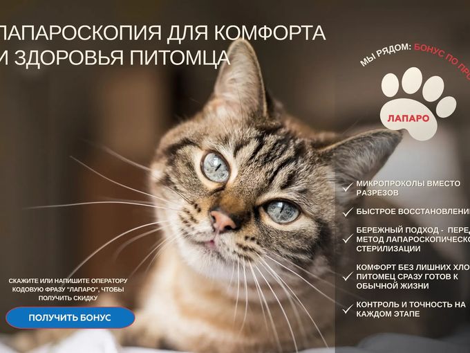 Лапароскопия. Современная стерилизация.