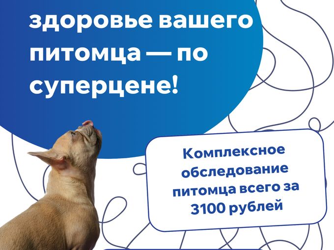 Забота о здоровье питомца по суперцене!