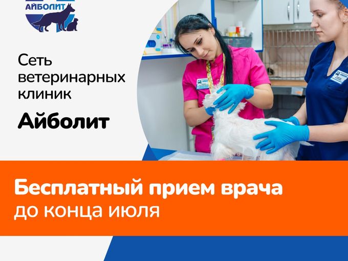 Бесплатный осмотр питомца в Айболит