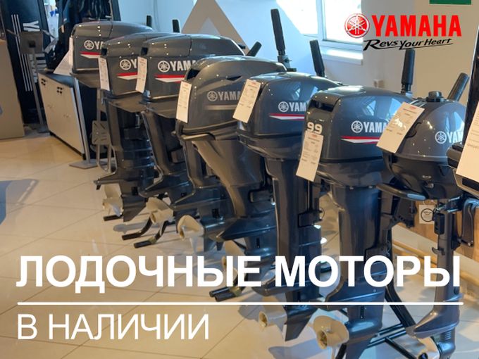 Лодочные моторы в наличии