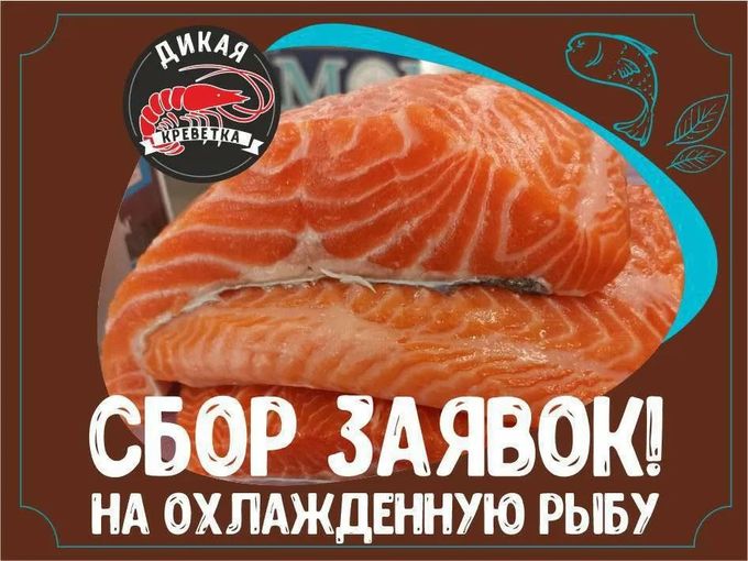 🐟Охлажденный МУРМАНСКИЙ лосось🐟