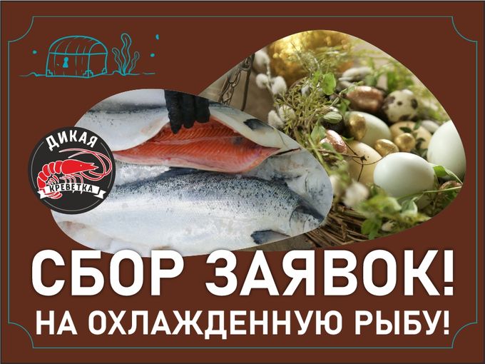 💫ПРЕДЗАКАЗ НА ОХЛАЖДЕННУЮ РЫБУ🐟💫
