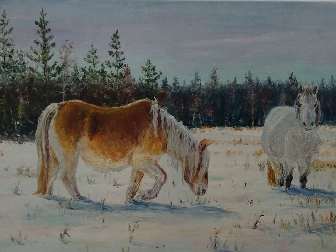 Якутские пейзажи🌲