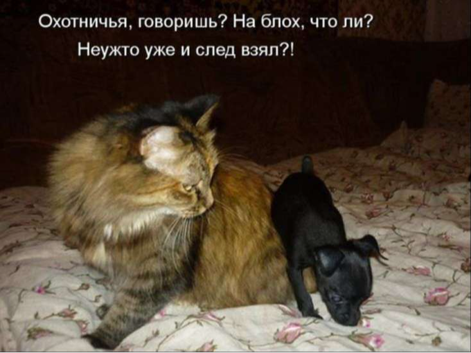 У вас (1) пропущенное сообщение