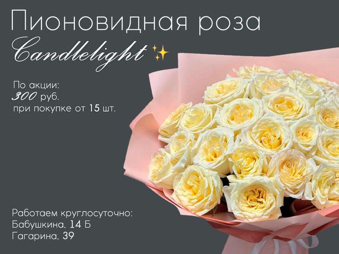 Спецпредложение на премиальную розу!