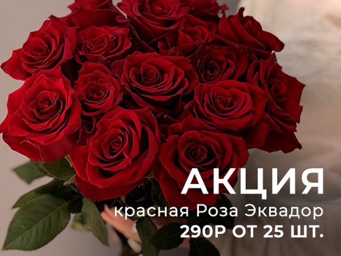Акция! Роза Эквадор 290р от 25шт
