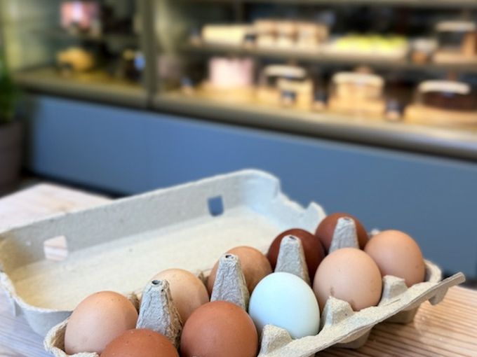 🥚 Фермерские яйца — всего 150 ₽!
