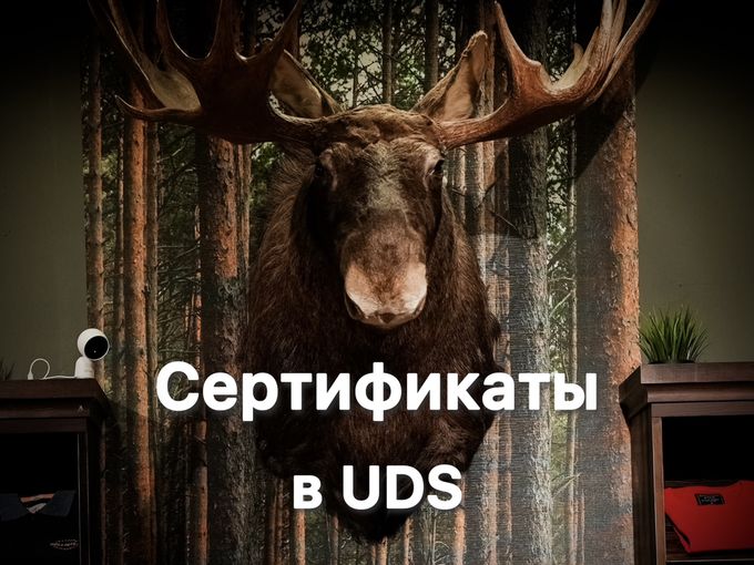 Откройте для себя выгоду с NashLosь!