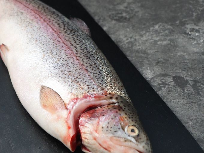 ОТКРЫВАЕМ СЕЗОН КАРЕЛЬСКОЙ ФОРЕЛИ🐟