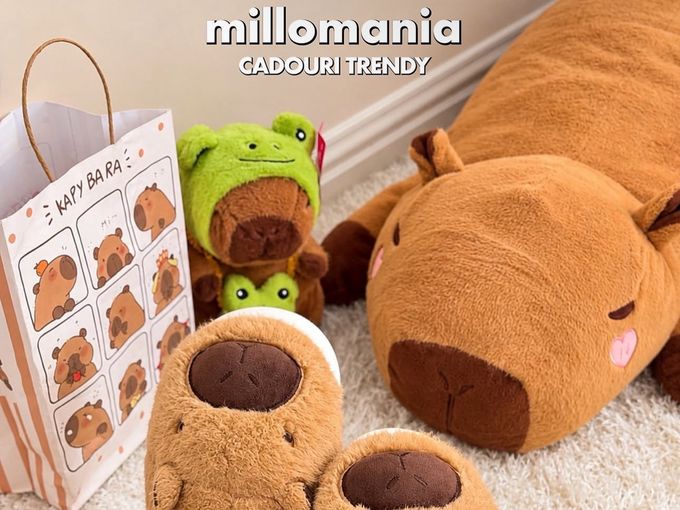 🛋️🛍️🍁CONFORTUL TĂU? millomania🍂😘💕