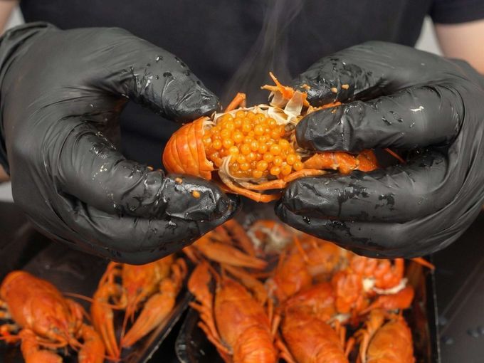 🦞Раки с ИКРОЙ уже здесь!