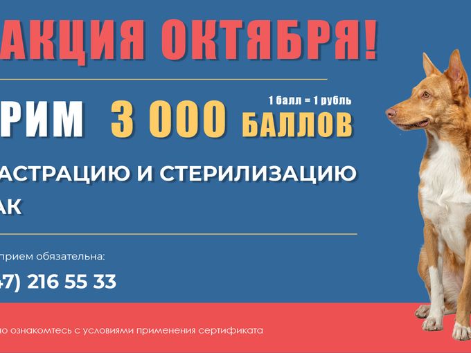 Сертификат 3 000