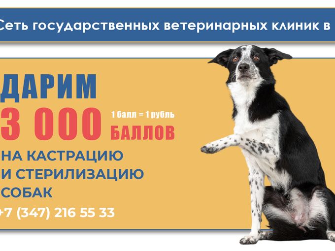 Сертификат 3000