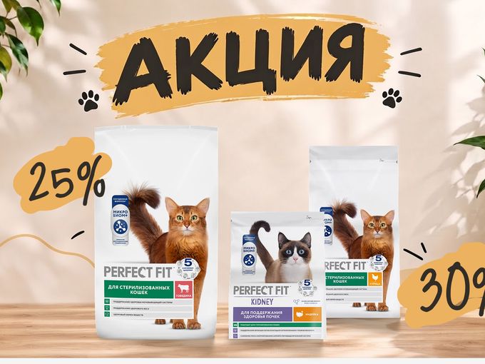 Акции на Perfect Fit - до 30%