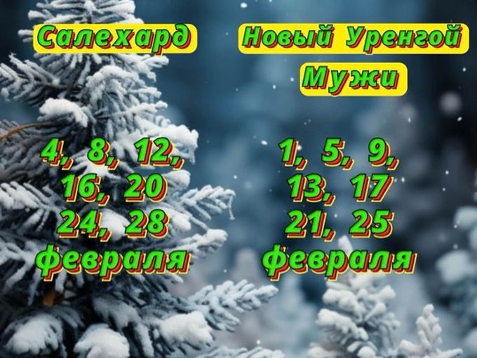 График поступления в феврале 😉