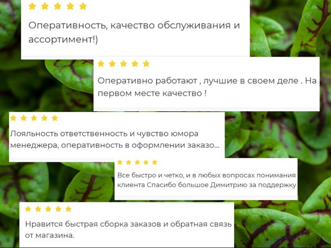Почему мы?