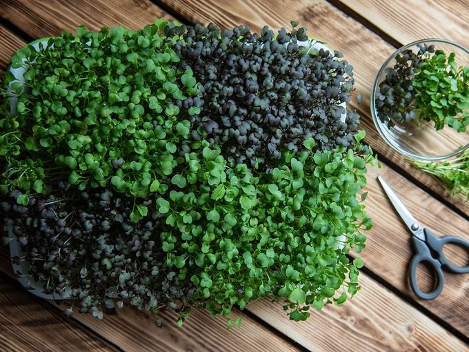 Акция, друзья💚