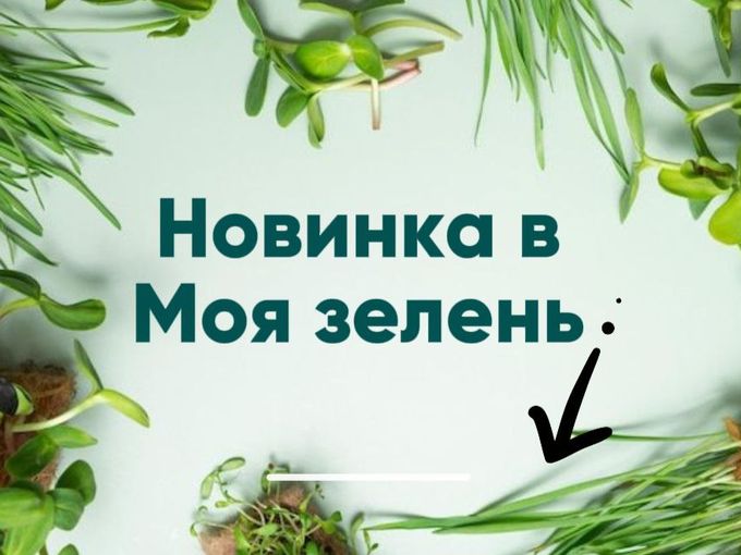 Новый сорт редиса🤩