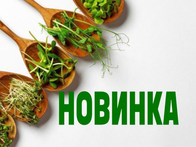Бактобион! Новинка для вашего урожая💪