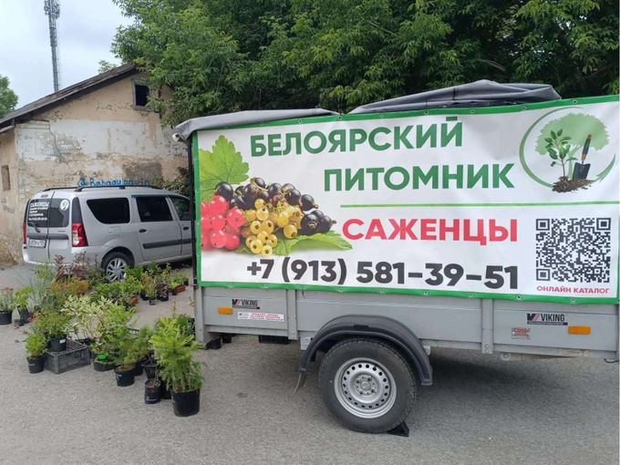 ДОСТАВКА и ВЫЕЗДНАЯ  торговля  🚙🌿
