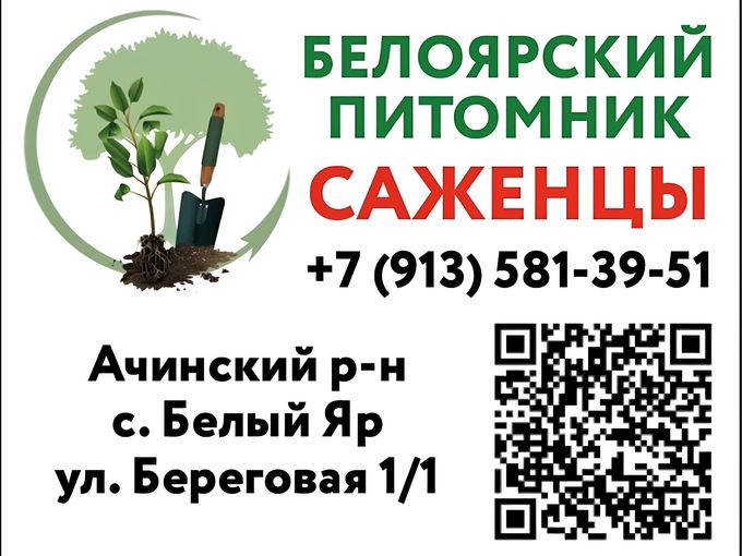 БЕЛОЯРСКИЙ питомник - САЖЕНЦЫ