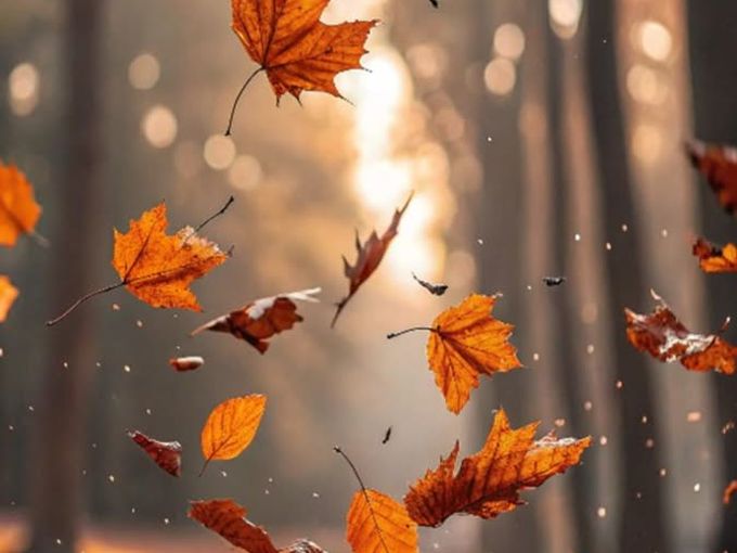Акции 🍁Октября🍁