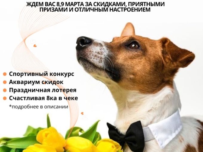 8,9 марта ждём вас в «Зайцах»