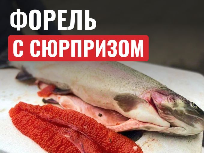 Внутри форели кое-что есть 🐟