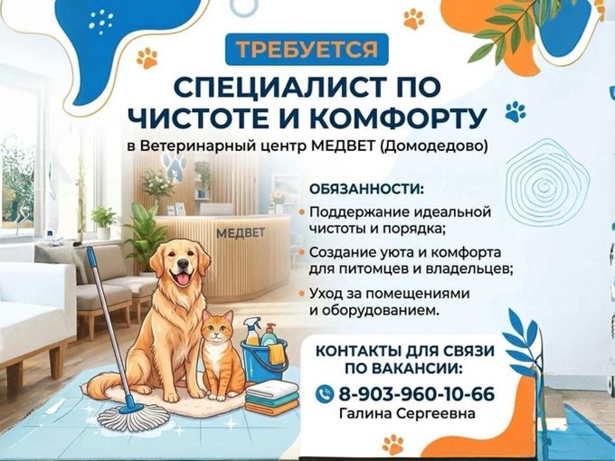 ВАКАНСИИ МЕДВЕТ