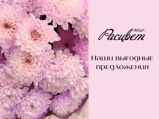 🔥 ВЫГОДНЫЕ ЦЕНЫ НА ЛЮБИМЫЕ ЦВЕТЫ