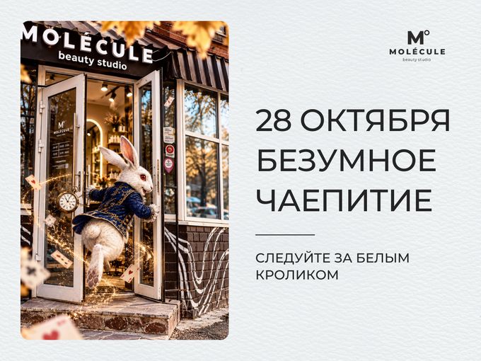 🐇 Следуйте за белым кроликом!
