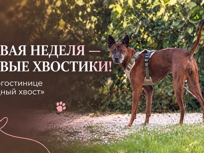 дневное пребывание с 8:00 до 18:00